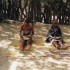 U COMME HLUHLUWE - AFRIQUE DU 