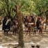 U COMME HLUHLUWE - AFRIQUE DU 