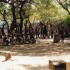 U COMME HLUHLUWE - AFRIQUE DU 