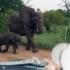 K COMME KRUGER - SWAZILAND