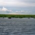 C COMME PARC CHOBE - BOTSWANA