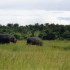 C COMME PARC CHOBE, SUITE - BO