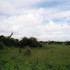 C COMME PARC CHOBE, SUITE - BO