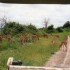 C COMME PARC CHOBE, SUITE - BO