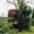 C COMME PARC CHOBE, SUITE - BO