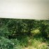 C COMME PARC CHOBE, SUITE - BO