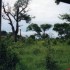 C COMME PARC CHOBE, SUITE - BO