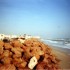 D COMME DJERBA - TUNISIE
