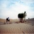 K COMME KSAR GHILANE - TUNISIE