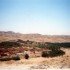 N COMME NEFTA - TUNISIE