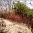 T COMME TANANARIVE - MADAGASCA