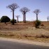 B COMME BARA - MADAGASCAR