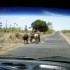 T COMME TULEAR - MADAGASCAR