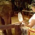 S COMME SAYOK ELEPHANT PARK - 