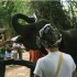 S COMME SAYOK ELEPHANT PARK - 