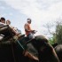 S COMME SAYOK ELEPHANT PARK - 