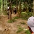 S COMME SAYOK ELEPHANT PARK - 