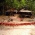 S COMME SAYOK ELEPHANT PARK - 