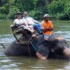 S COMME SAYOK ELEPHANT PARK - 
