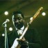 MUDDY WATERS