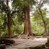 T COMME TA PHROM - CAMBODGE