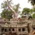 T COMME TA PHROM - CAMBODGE