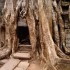 T COMME TA PHROM - CAMBODGE
