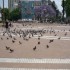 B COMME BUENOS AIRES - LA PLAC