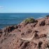 P COMME PUNTA TOMBO - ARGENTIN