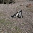 P COMME PUNTA TOMBO - ARGENTIN