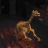 T COMME LA TERRE DE FEU - ARGE