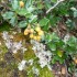 U COMME USHUAIA - LA NATURE - 