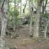 U COMME USHUAIA - LA NATURE - 