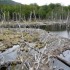 U COMME USHUAIA - LA NATURE - 