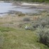 U COMME USHUAIA - LA NATURE - 