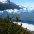 P COMME GLACIER PERITO MORENO 