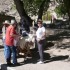 S COMME SAN ANTONIO DE LOS CAB