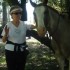 P COMME PAMPA -  EQUITATION, B