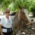 P COMME PAMPA -  EQUITATION, B