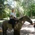 P COMME PAMPA -  EQUITATION, B