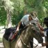 P COMME PAMPA -  EQUITATION, B