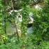 E COMME CANYON DES ECOUGES - I