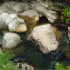 E COMME CANYON DES ECOUGES - I