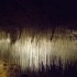 C COMME GROTTE DE CHORANCHE (2