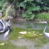 J COMME JARDIN DES FONTAINES P