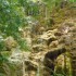 J COMME JARDIN DES FONTAINES P