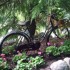 J COMME JARDIN DES FONTAINES P