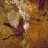 L COMME GROTTE DE LA LUIRE - S