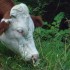 L COMME LEONCEL - ISERE - FRAN