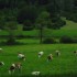 L COMME LEONCEL - ISERE - FRAN